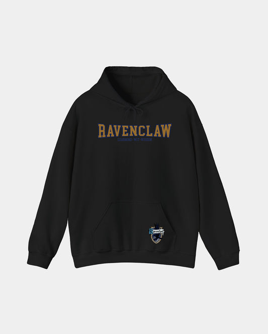 Harry Potter Ravenclaw Polera