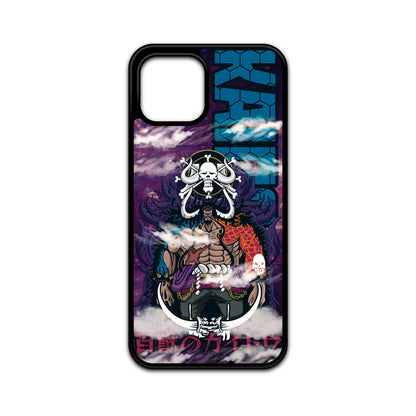 Kaido Case