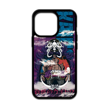 Kaido Case