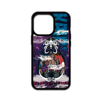 Kaido Case