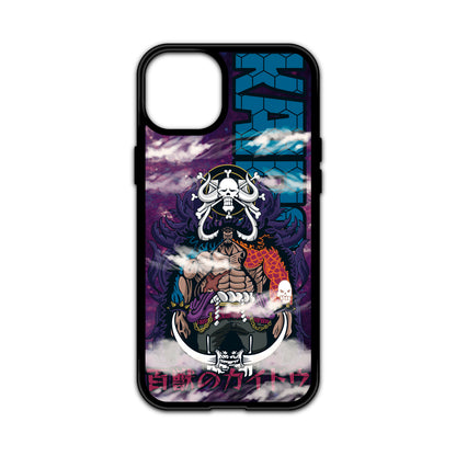 Kaido Case