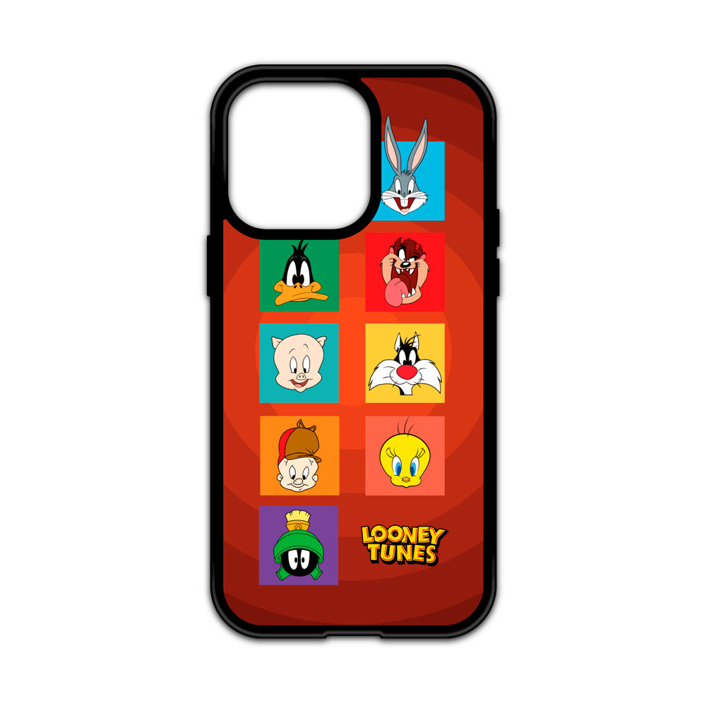 Looney Tunes Case