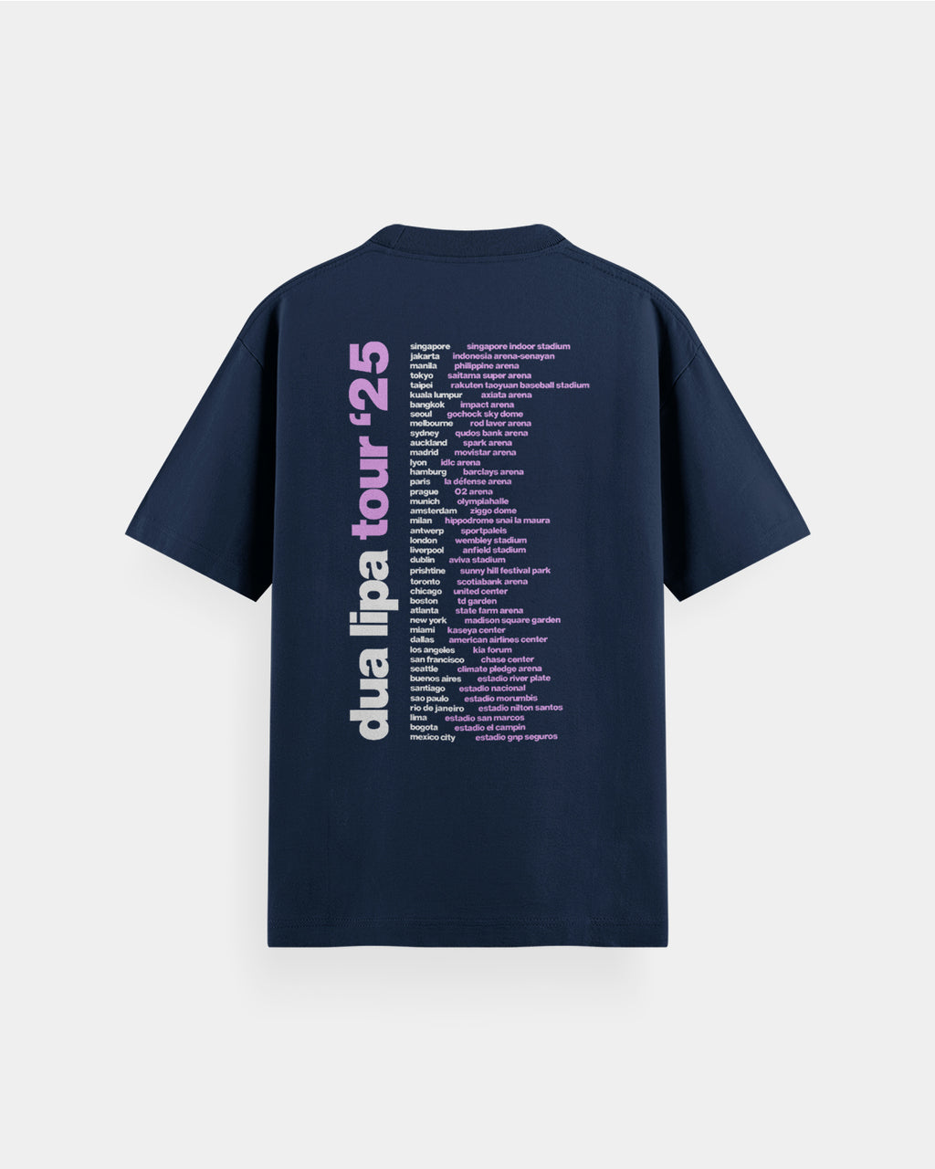 Dua Lipa Tour '25