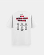 Arirang World Tour BTS