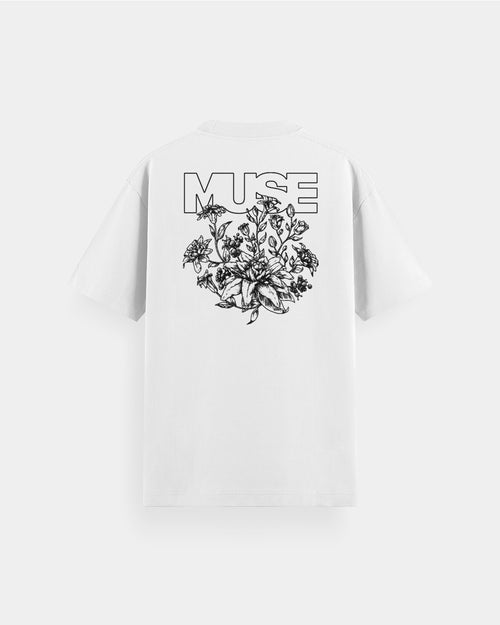 Jimin MUSE