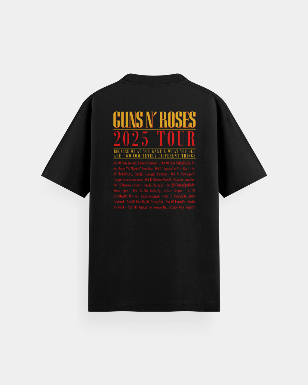 Guns N' Roses Concierto