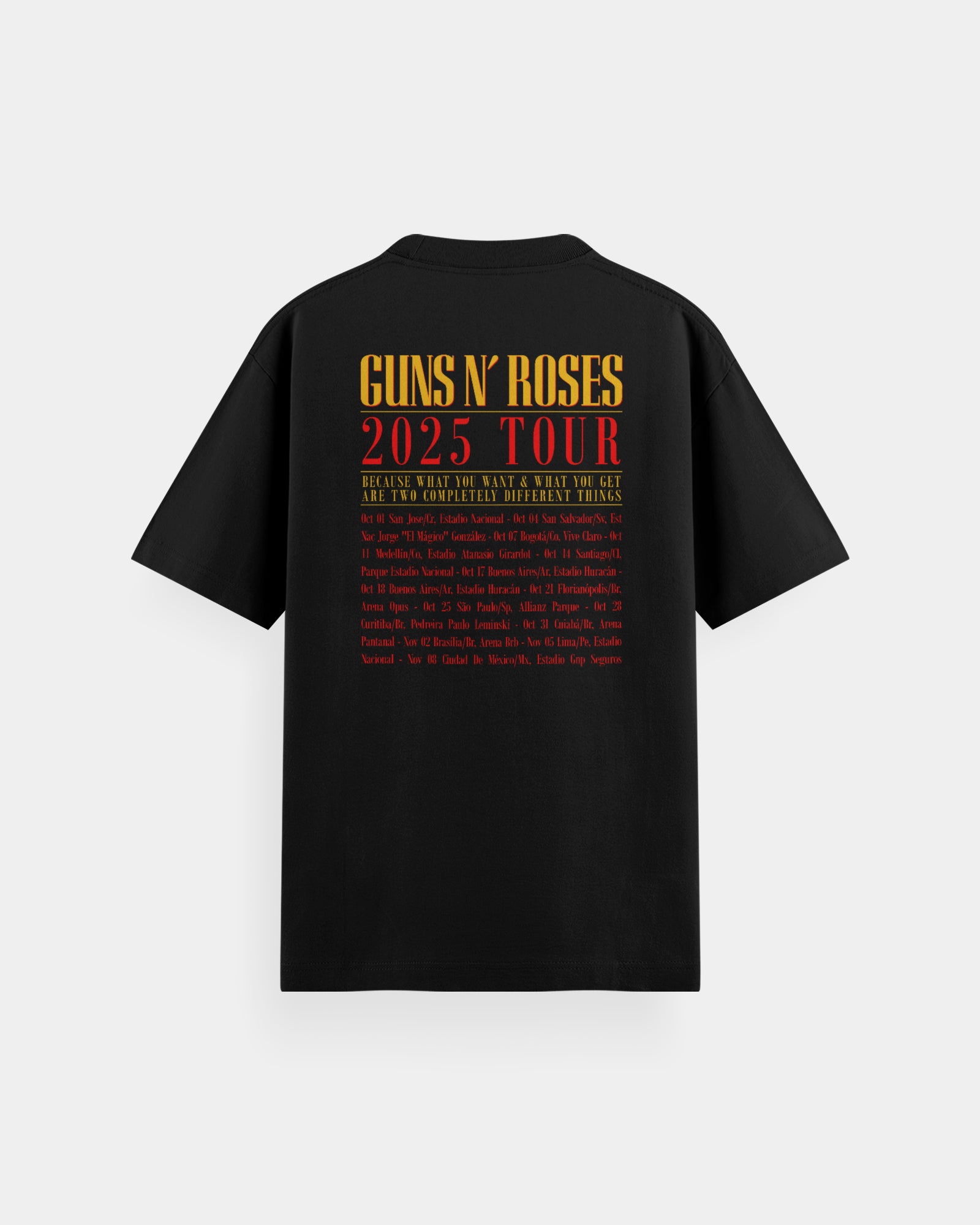 Guns N' Roses Concierto