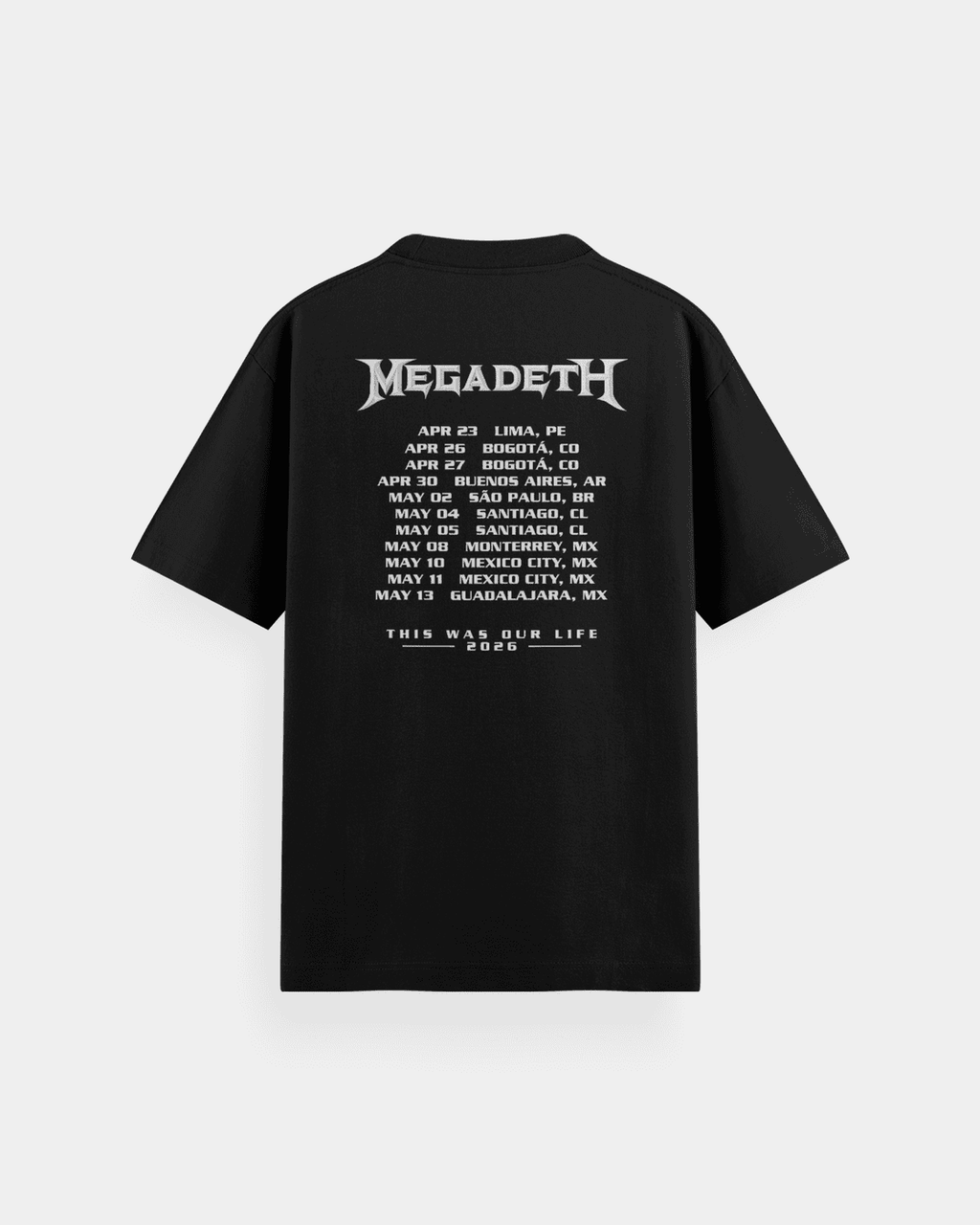 Megadeth This Was Our Life