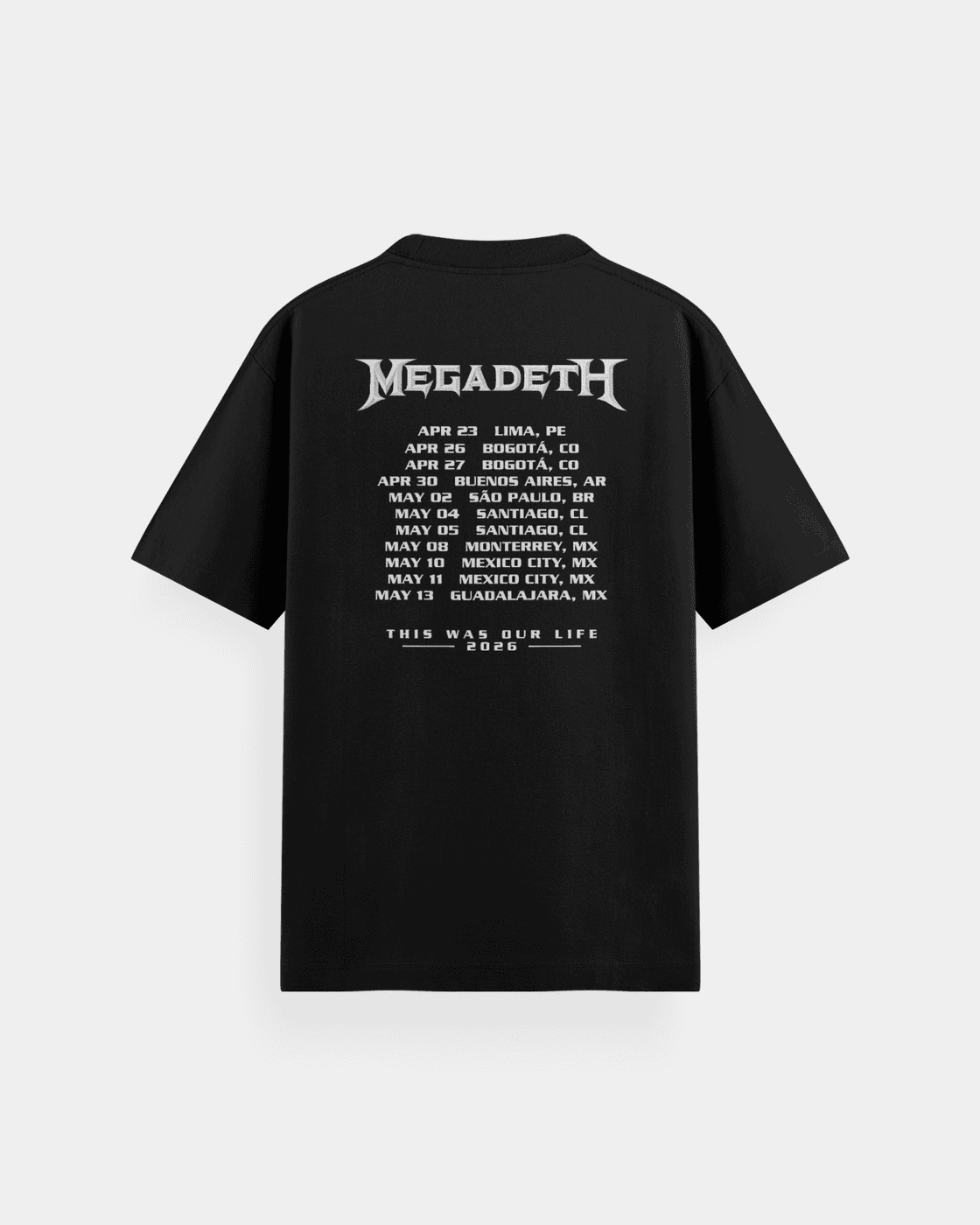 Megadeth This Was Our Life